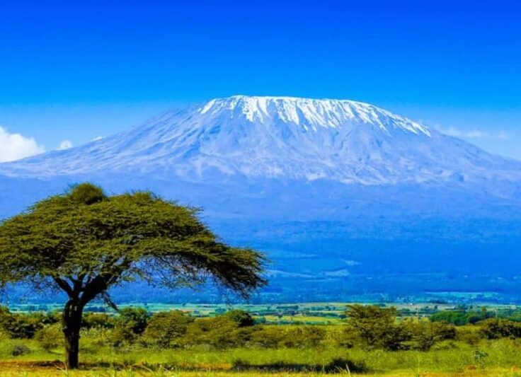 Day-Trip Safari to Kilimanjaro.