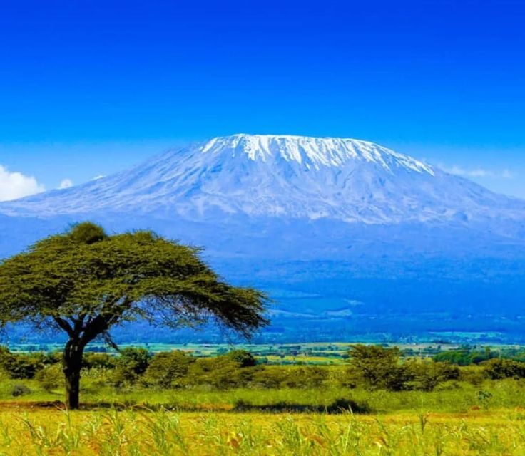 Day-Trip Safari to Kilimanjaro.