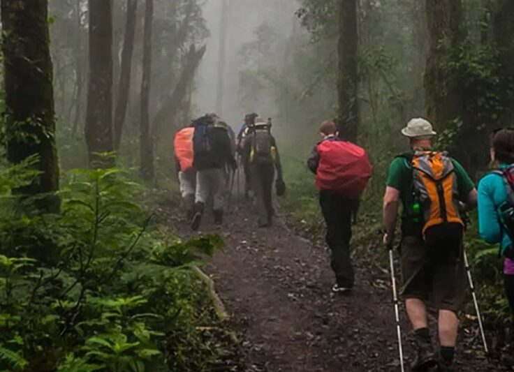 8- Day Safari Lemosho Route.