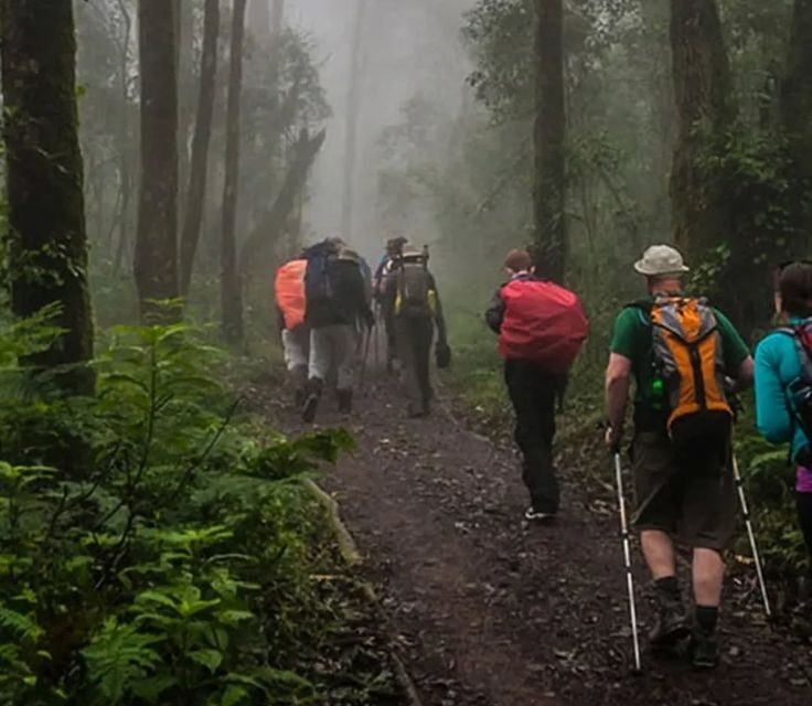 8- Day Safari Lemosho Route.