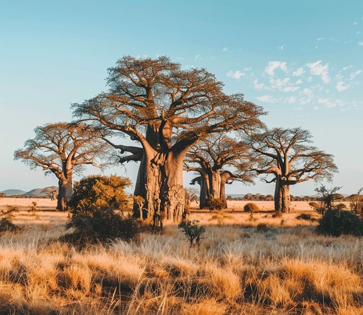 2-Day Safari From Zanzibar to Tarangire and Ngorongoro