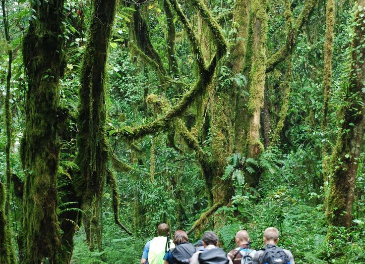 8- Day Safari to Kilimanjaro Machame Route.