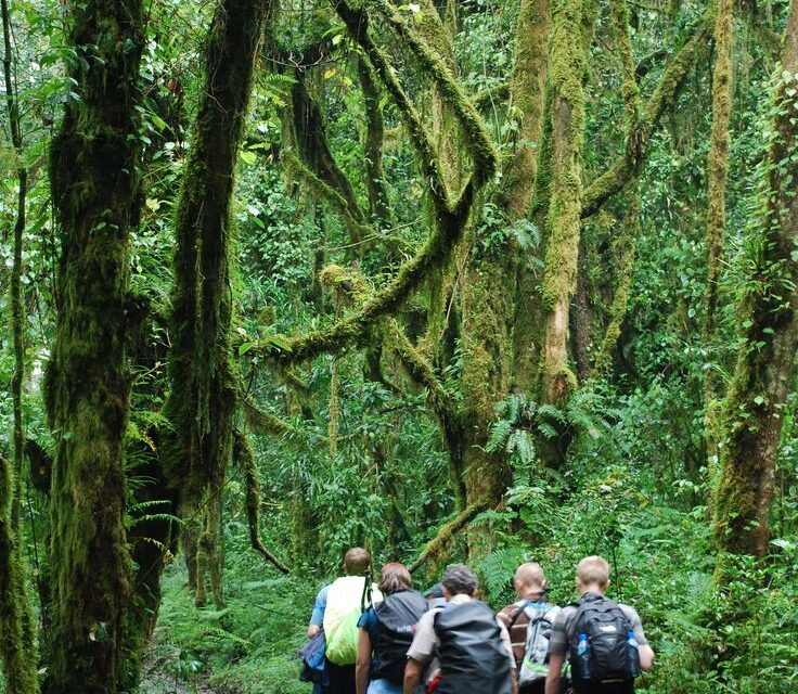 8- Day Safari to Kilimanjaro Machame Route.