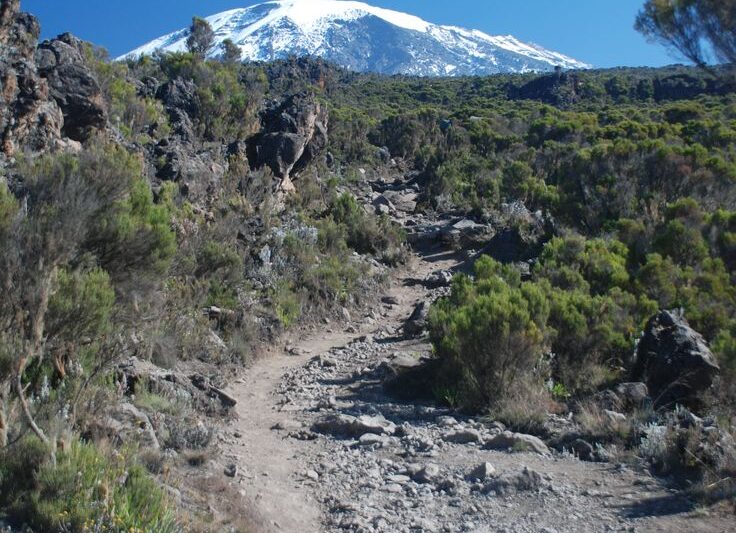 7- Day Safari Lemosho Route.
