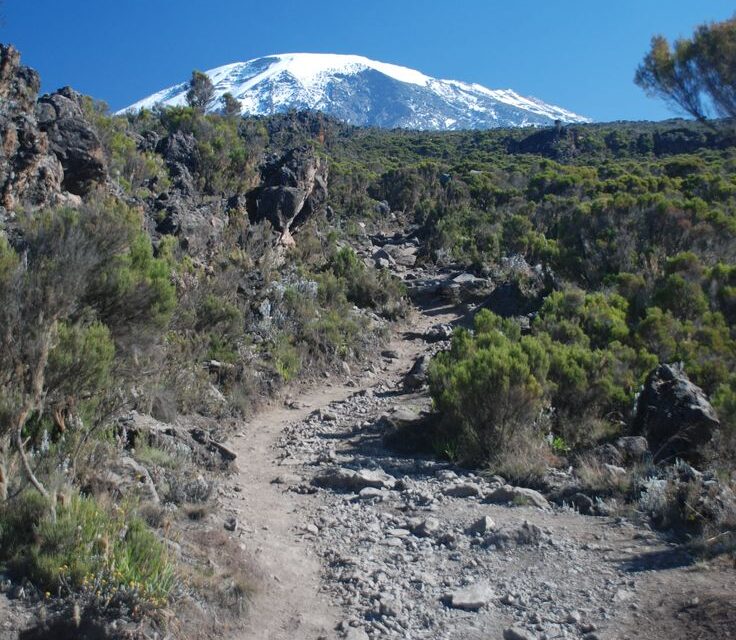 7- Day Safari Lemosho Route.