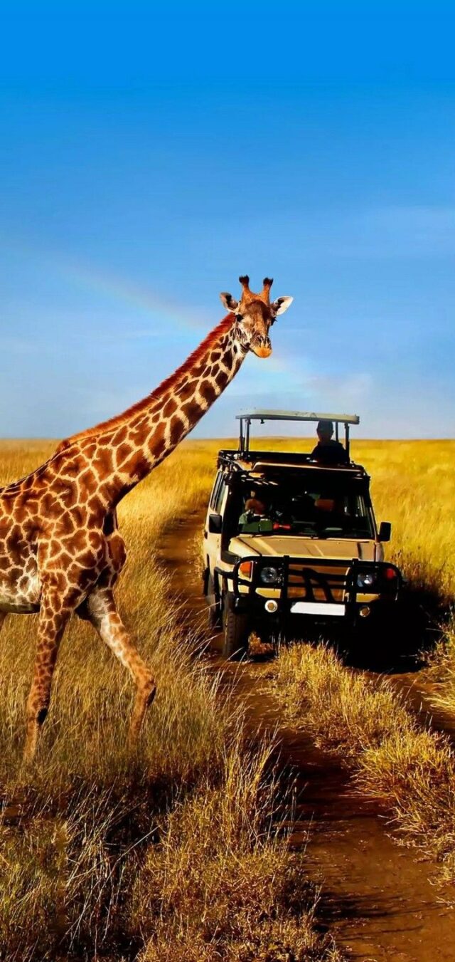 https://spearwanderstours.com/wp-content/uploads/2025/10/Voice-Of-Maasai-Tours-1-640x1351.jpg