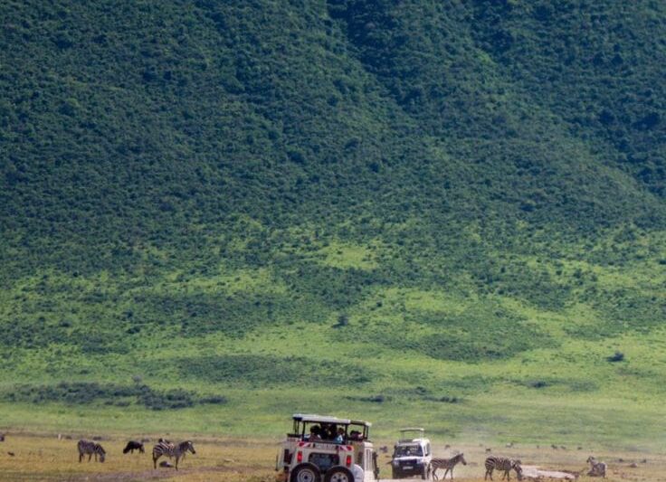 5- Day Tanzania Lodge Safari to Tarangire, Serengeti and Ngorongoro.