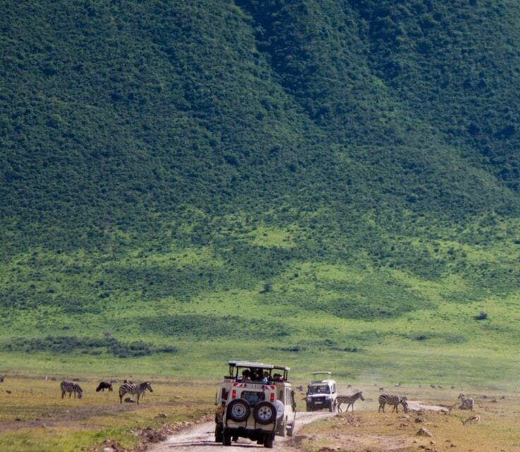 5- Day Tanzania Lodge Safari to Tarangire, Serengeti and Ngorongoro.