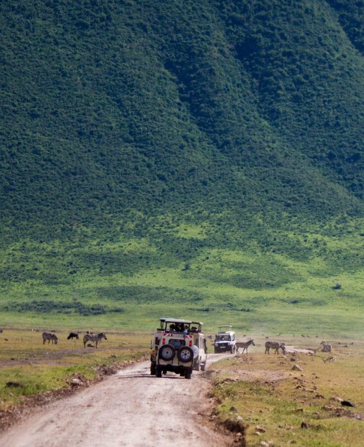 5- Day Tanzania Lodge Safari to Tarangire, Serengeti and Ngorongoro.
