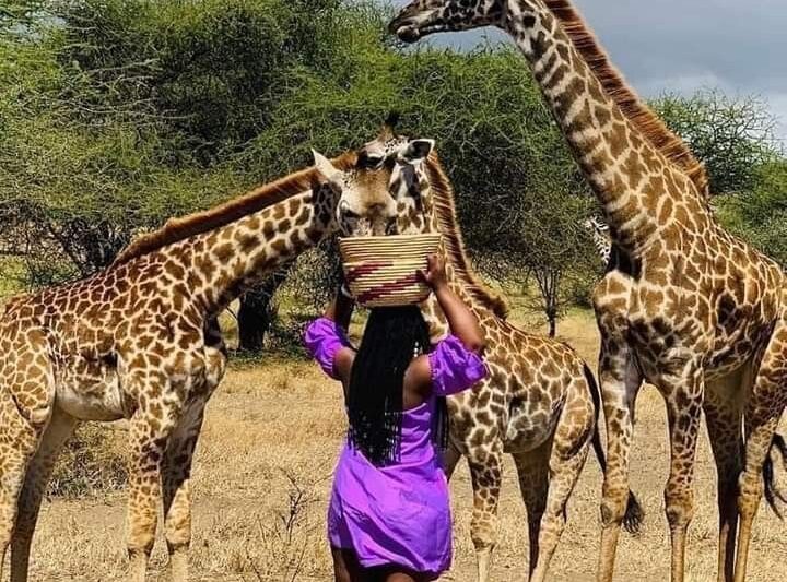 A Day Trip to Serval Wildlife and Materuni Waterfall.