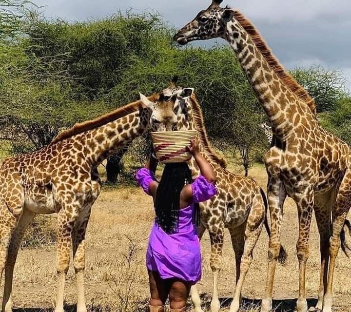A Day Trip to Serval Wildlife and Materuni Waterfall.